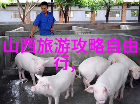 极速骑行4破解版体验无限快感的自由骑行