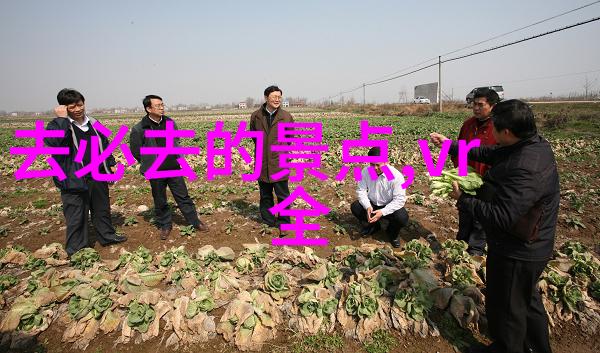 10月国内旅行必备亲属关系公证书外交部认证攻略