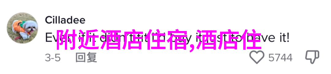 五一假期自驾探秘沿途美景与心灵的旅程