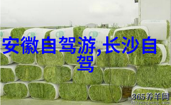 骑行环中国最佳路线图-探索不凡绘制中国最迷人的自行车环游