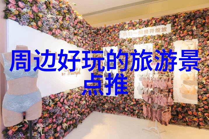 骑行数据管理系统选择指南揭秘最佳应用程序