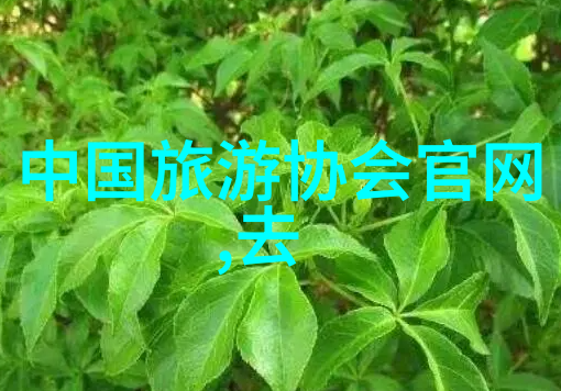 草原梦回忆呼和浩特旅游的诗意探索