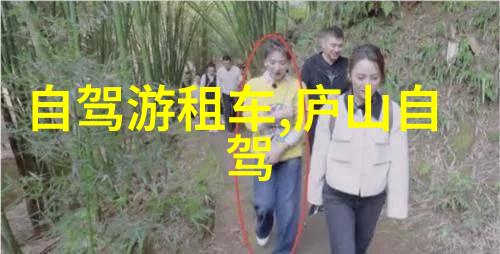 技术革新与社会责任新一代智能驾驶辅助系统解读