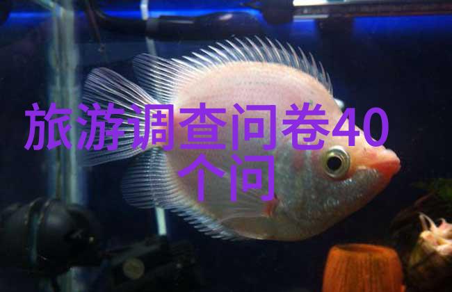 国内旅游线路推荐 - 探索中国奇迹一站到底的文化之旅