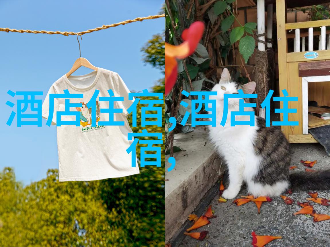 乌镇古韵之都水乡风光与数字生活的和谐共融