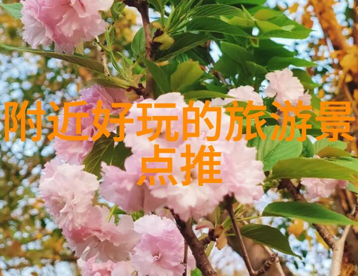 卧龙生武侠小说全集之传说重燃