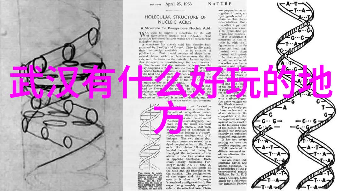 保护旅途安全关于自驾旅游责任险的解析