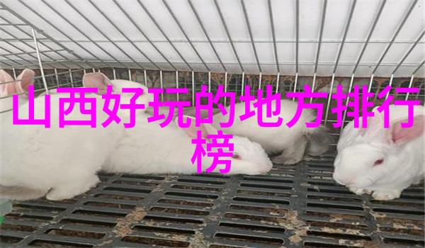 横店在江西省南昌市作为国内十大旅游网站分析中的重要组成部分展现了中国自然风光的魅力