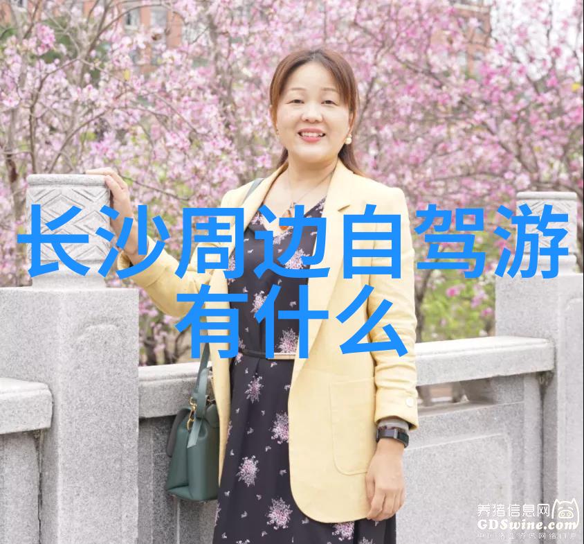 南京双日游记揭秘明故宫与雨花台的秘密美丽