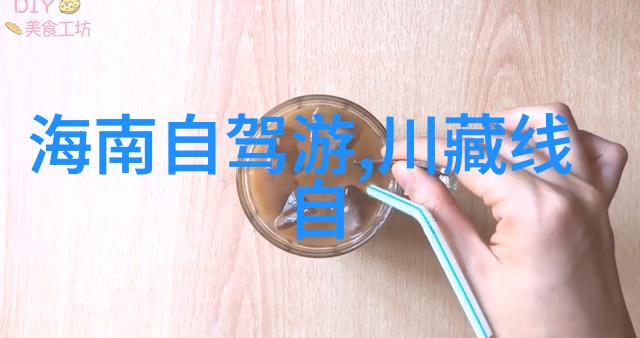 翱翔云端触摸星辰我的800字航空游记