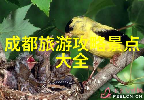 川上奇观揭秘都江堰的美丽与智慧