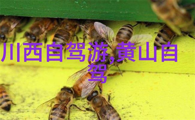 千户苗寨风情探索云南边陲的原始苗家文化