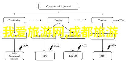 主题我眼中的100个游乐设备名称从旋转木马到过山车的趣味探索