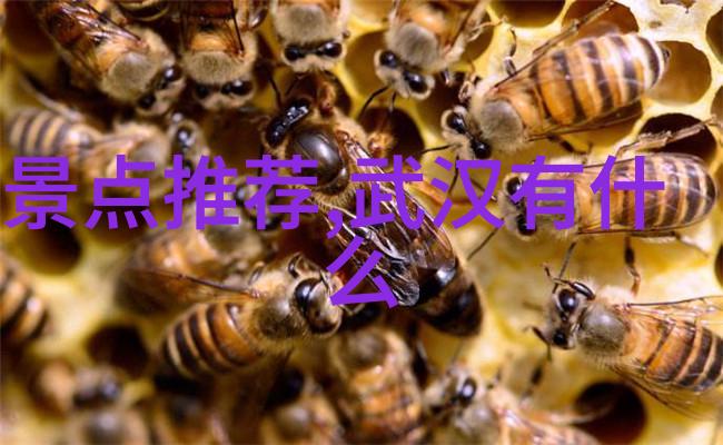 必游奇迹探秘世界上最迷人的景点