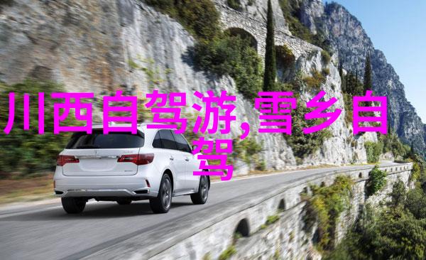 公园中的自行车道是否会吸引越来越多的运动爱好者