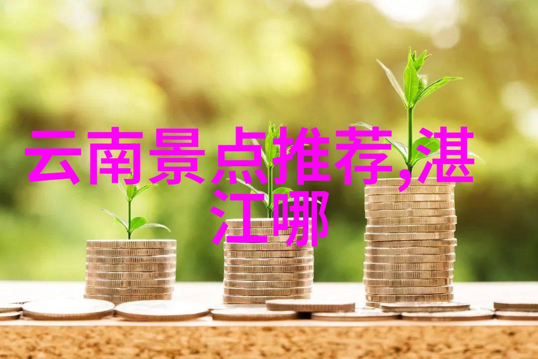 北京纯玩五日游多少钱 - 北京悠然探索一份完美的纯玩五日行程预算