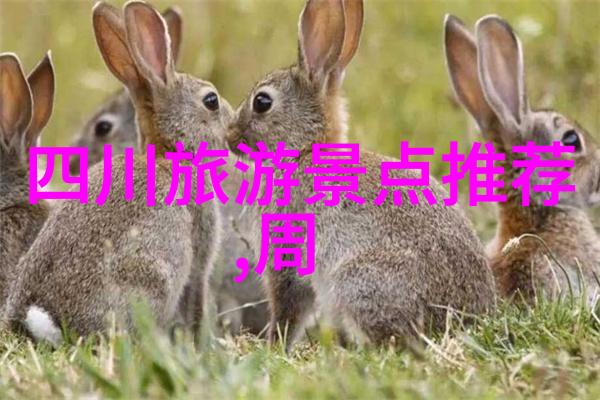 旅行的绘卷探索心灵的港湾