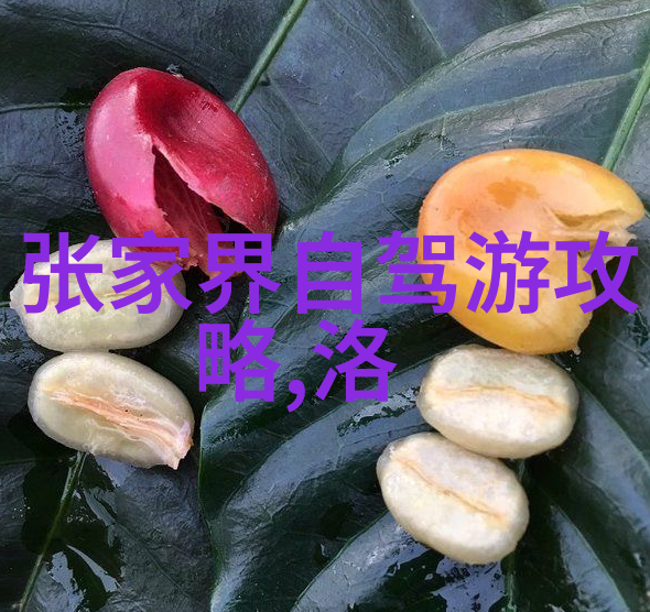 丽江束河古镇我在这条被时光抚摸成金色的街巷里找到了自己的影子