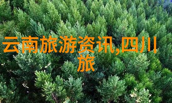 如何在短时间内品尝台湾所有知名小吃