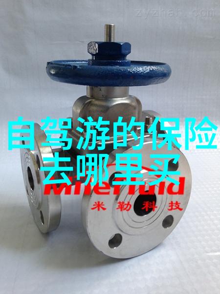 旅游咨询公司我要去哪儿玩找个好点的旅行社