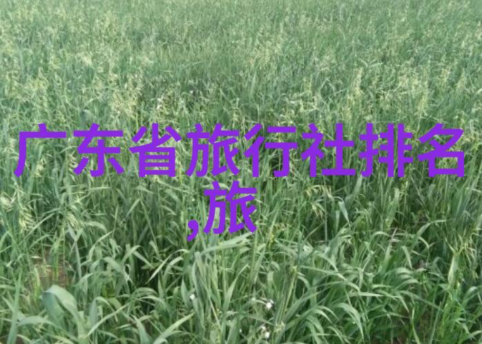 冰原的守望者大冬兵的传奇
