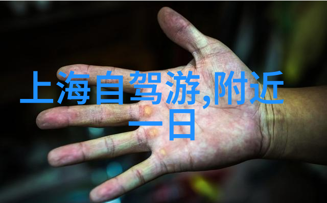 统治者应该如何平衡权力与责任