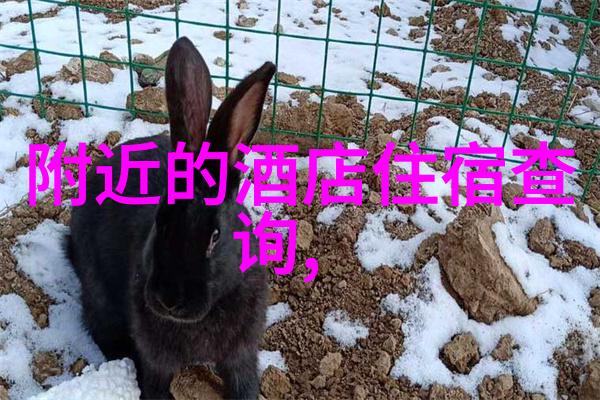 上海最大滑雪场在哪里门票多少钱大型团建活动策划反复探索冬日乐趣