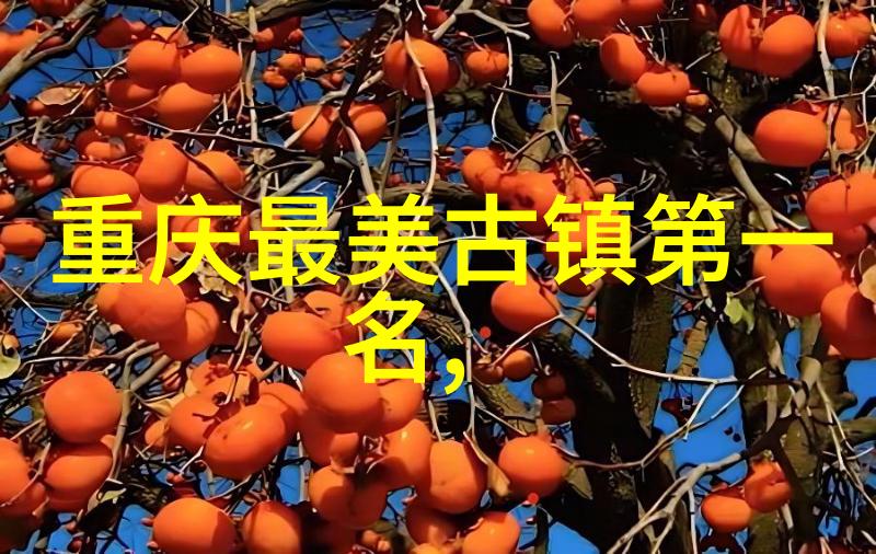 北方美食探秘尝遍岁月的厚重