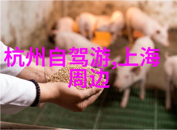 入门公路自行车推荐 - 初学者必备选择适合您首辆公路自行车的指南