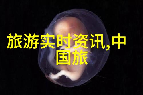 桶她BB的英语课代表
