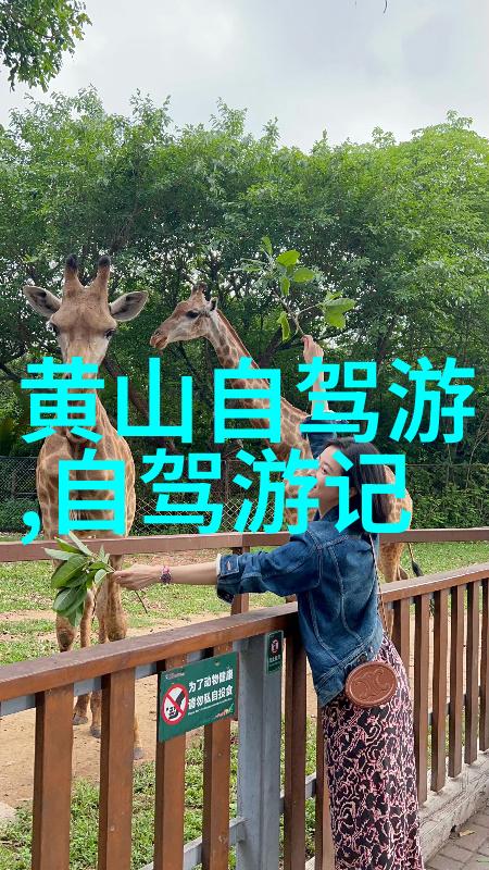 如何在有限的预算下享受獐岛的美好时光
