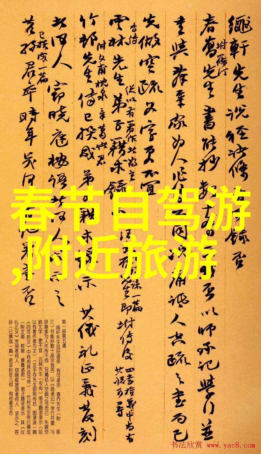 夏日逃往热带天堂的迷人诱惑