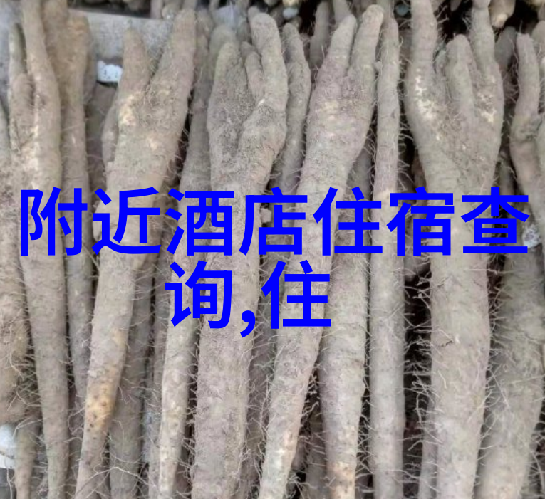 探索宜居性与经济效益的平衡好玩城市的低成本生活模式研究