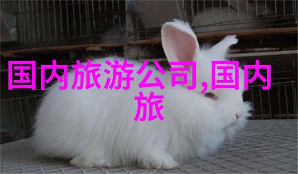 探索山东美丽的边际一场自驾游的回忆