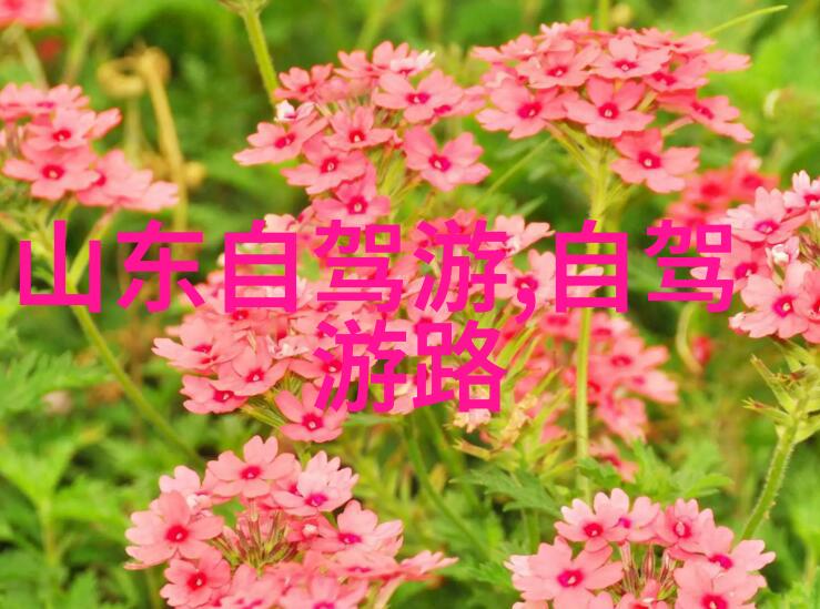 上海旅馆住宿指南