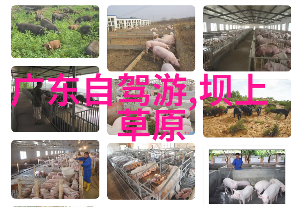 赣州景点-赣州美丽风光探秘东方巴黎独特魅力