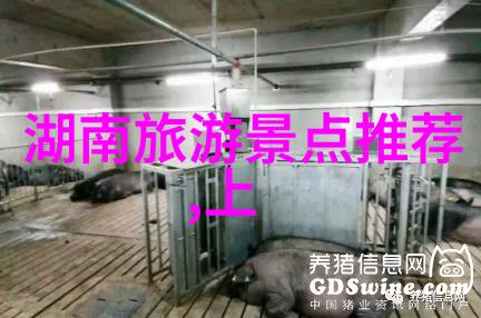天津周边自驾游我和小伙伴的激动人心天津周边探险