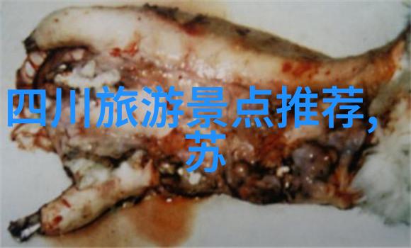 北京5日游行程与价格详解