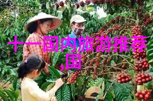 真实情感的分享探索免费观看爱情视频网站的世界