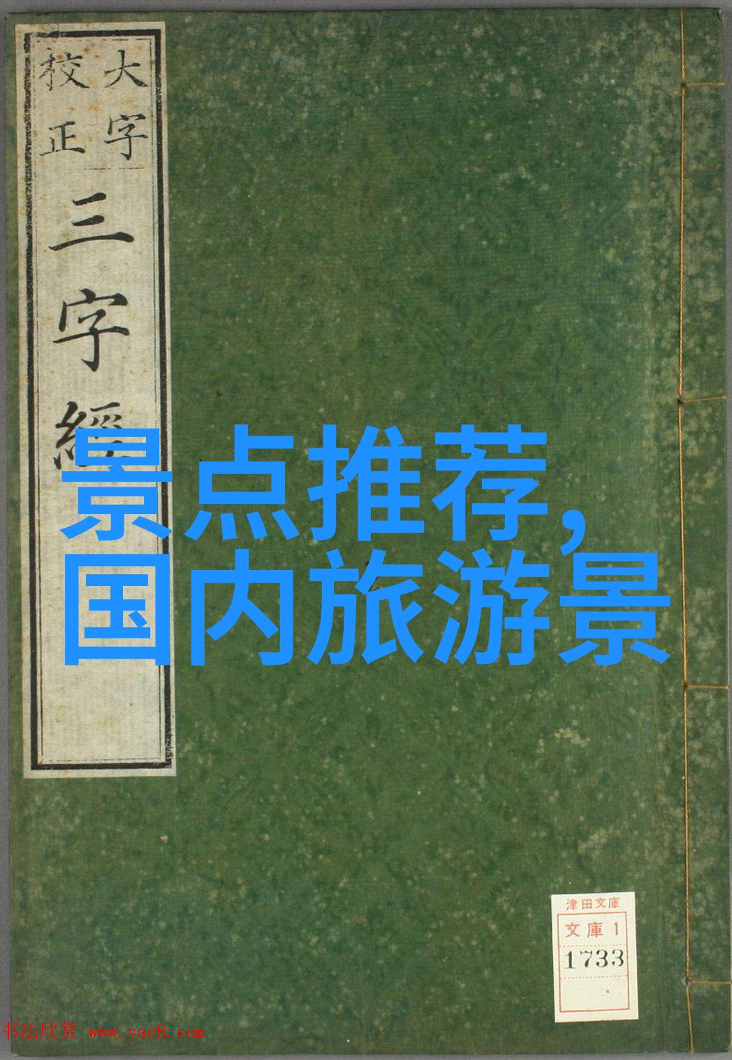 地球漫步者环球旅行日志与文化交流记录