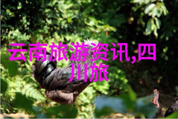 24小时探秘北京夜市酒吧小吃