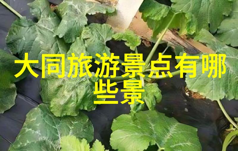 5月份去哪里旅游最好国内五月小伙伴们这里有你理想的旅行目的地