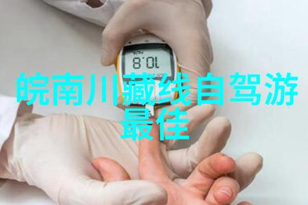 自驾游俱乐部探险畅享自然之美的自助旅行体验