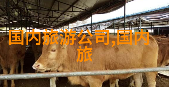 探索心灵的边界内外游之旅的诗意交响