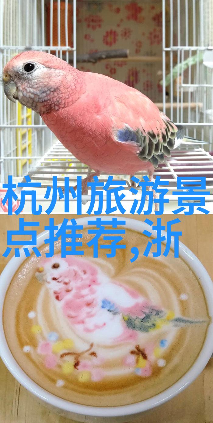 广州自驾游探索珠江流域的美好时光