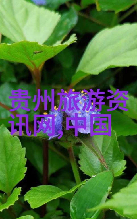 桂林山水甲天下我的800字游记