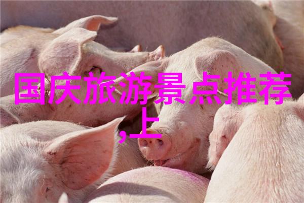 中文字幕一线产区和二线我是怎么看待字幕室的差异