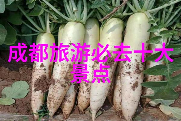 揭秘张警官视频链接一段改变命运的真实故事