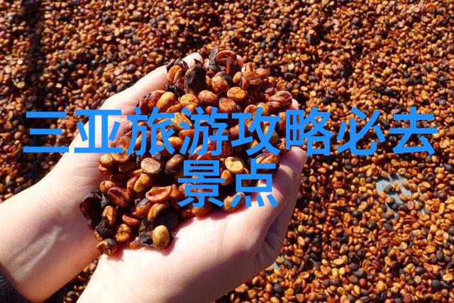 游玩青岛作文400字 - 青岛之旅海滨风光与历史遗迹
