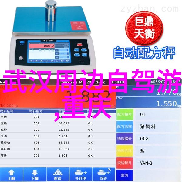 食物探索尝鲜当地美食避免浪费金钱和时间